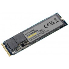 SSD INTENSO 250GB PREMIUM NVMe