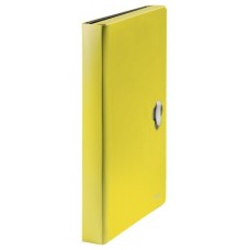 CARPETA POLIPROPILENO ACORDEON 5 POSICIONES+BOLSILLO FRONTAL BROCHE GIRATORIO A4 RECYCLE AMARILLO LEITZ 46240015 (Espera 4 dias)