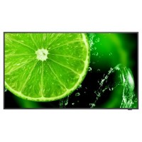 NEC MultiSync E438 Pantalla plana para señalización digital 108 cm (42.5") LCD 350 cd / m² 4K Ultra HD Negro 16/7 (Espera 4 dias)