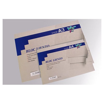 Pryse 6230072 papel decorativo Bloc de hojas de papel para bellas artes 10 hojas (Espera 4 dias)