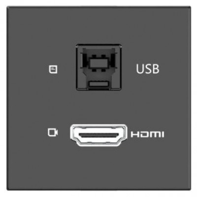 KRAMER ROOM CONNECTIVITY PASSIVE BLACK MODULE WITH 1 HDMI PORT + 1 USBB PORT INPUT.- MD-H+B/AF(B) (80-000358) (Espera 4 dias)