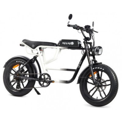 YOUIN E-BIKE URBAN STYLE FAT 2 (Espera 4 dias)
