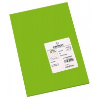 PACK 50 HOJAS CARTULINA IRIS A3 185G VERDE BILLAR CANSON C200040208 (Espera 4 dias)