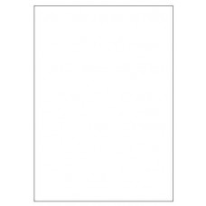 CAJA 100 HOJAS ETIQUETAS BLANCAS SIN MÁRGENES-LÁSER/INYECCIÓN DE TINTA/FOTOCOPIADORAS-210X297 MM MEGASTAR LP4MS-210297 (Espera 4 dias)