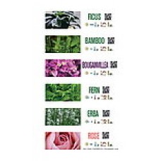 Floralabels Etiquetas de lazo 33x250 mm, 6 por hoja OKIMED32