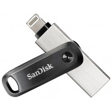 SanDisk SDIX60N-256G-GN6NE unidad flash USB 256 GB 3.2 Gen 1 (3.1 Gen 1) Gris, Plata (Espera 4 dias)