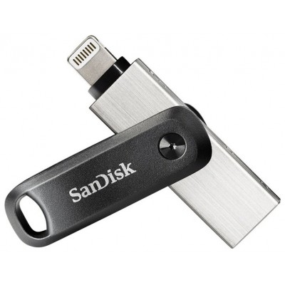 SanDisk SDIX60N-256G-GN6NE unidad flash USB 256 GB 3.2 Gen 1 (3.1 Gen 1) Gris, Plata (Espera 4 dias)