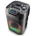 ALTAVOZ PORTATIL NGS WILD CLUB  80W CON LUCES